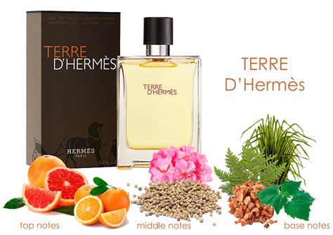 terre d hermes notes.